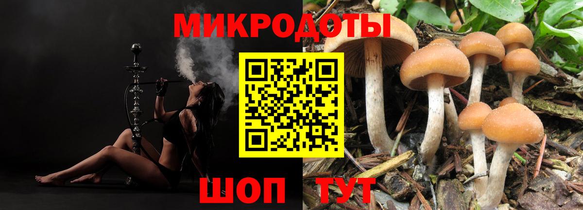 Среднеуральск  Галлюциногенные грибы Psilocybe  Вход с VPN 